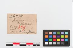 Etiketten zu Bronzearmring (NHMW-PRAE-024754)